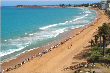 collaroy narrabeen wall protest shoreline residents lined aerial vertical fig showing against photograph order